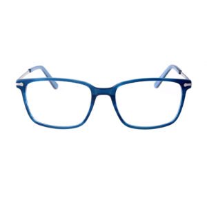 Joysee 2021 17388 eyeglasses new stylish acetate optical frame, fashion optical metal temples