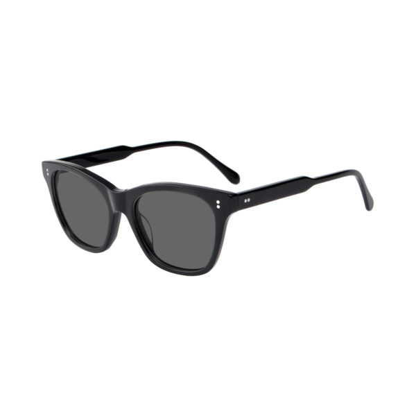 LT4006S 52-18-145 C1-2