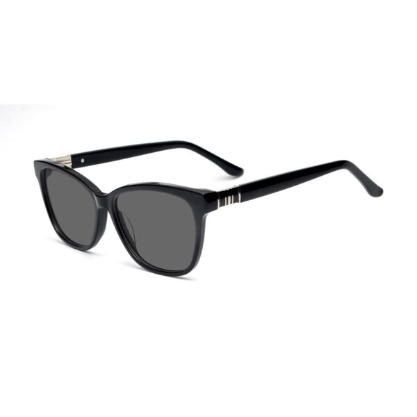 LT1002S - Imagen 3