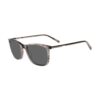 LT1021S - Imagen 2