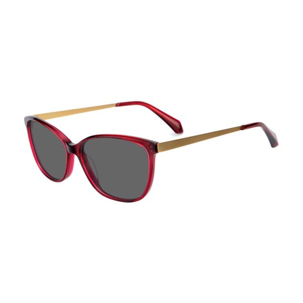 LT1024S - Imagen 4