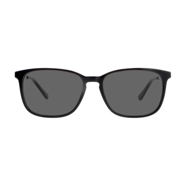 LT1039S