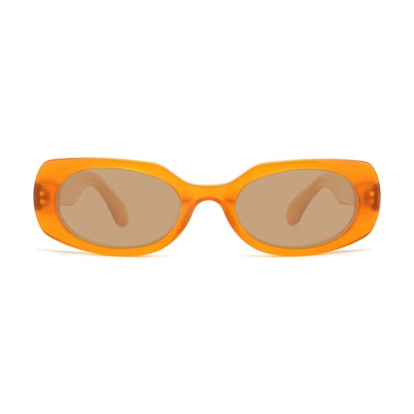 LT1064S - immagine 5