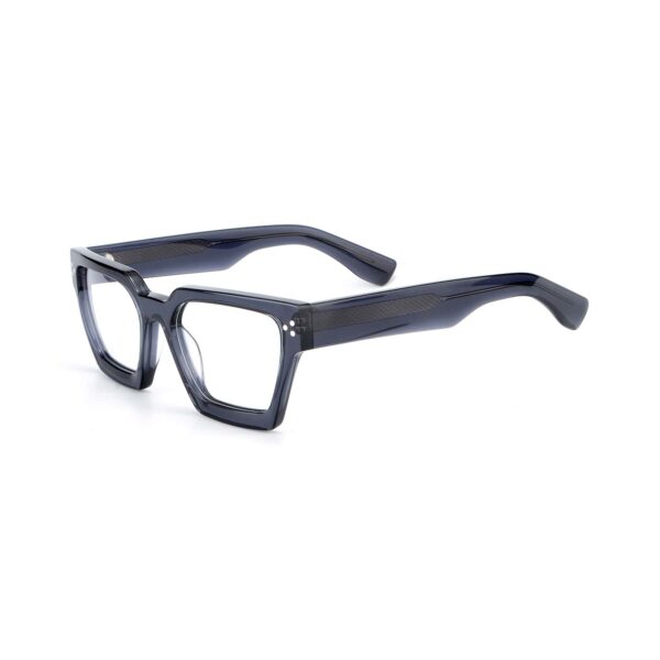 LT1070 High-Quality Acetate Optical Frames by Leading Eyeglass Manufacturers for Private Label - Image 8