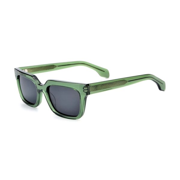 LT1094S - Image 4