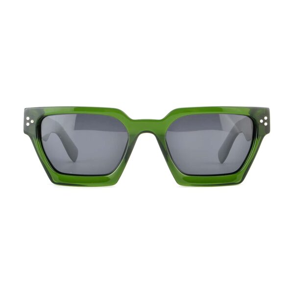 LT1105S - Imagen 5