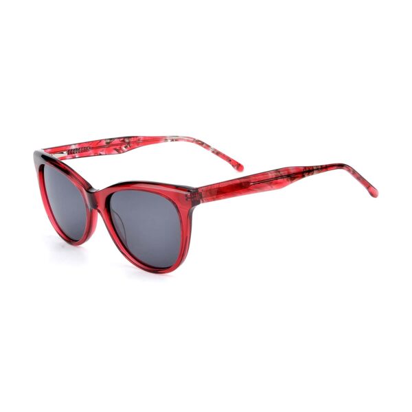 LT1110S - immagine 6