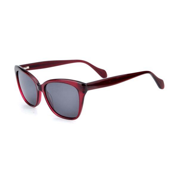 LT1111S - Imagen 9