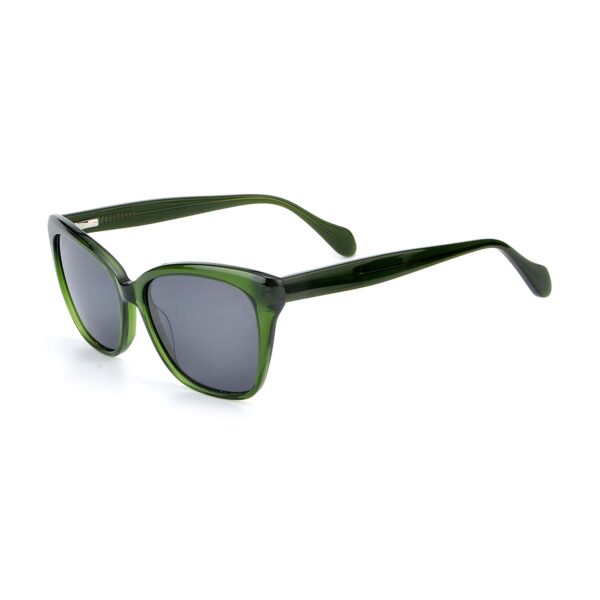 LT1111S - Imagen 3