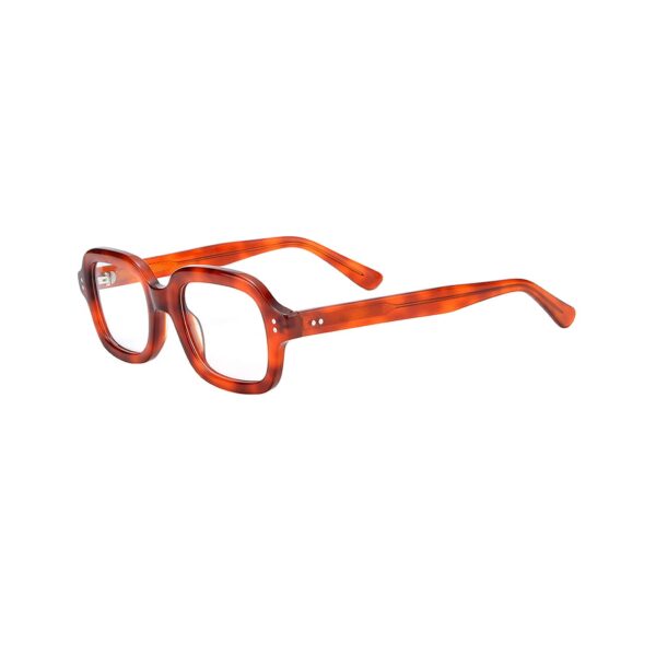 LT1117 Unisex Quality Custom Acetate Optical Frames by Leading Glasses Manufacturer - immagine 2