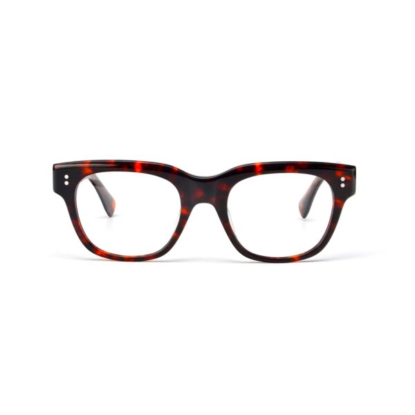 LT1120 Quality Acetate Optical Frames for Men and Women by Leading Eyewear Manufacturer - immagine 7