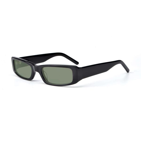 LT1169S - Imagen 2