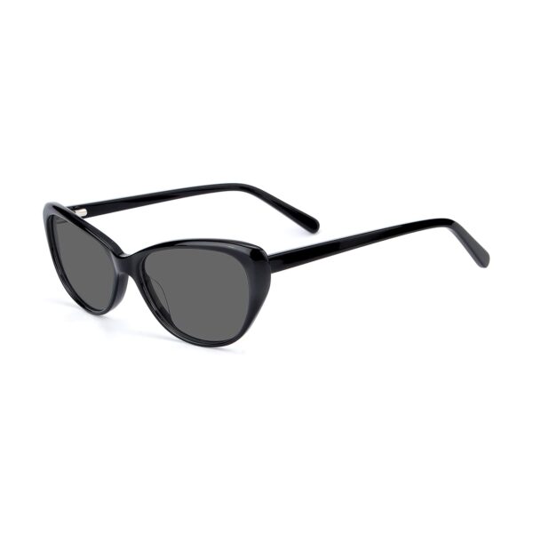LT3002S - Imagen 2