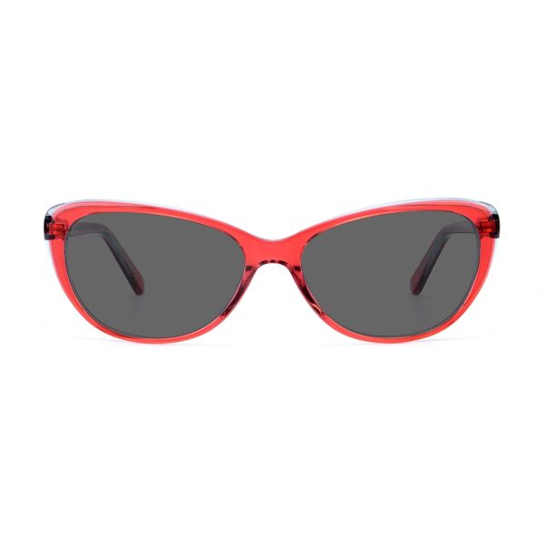 LT3002S - Imagen 3
