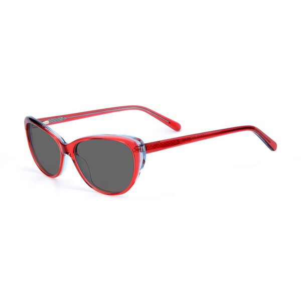 LT3002S - Imagen 4