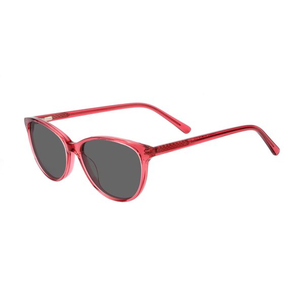 LT3004S - Imagen 4
