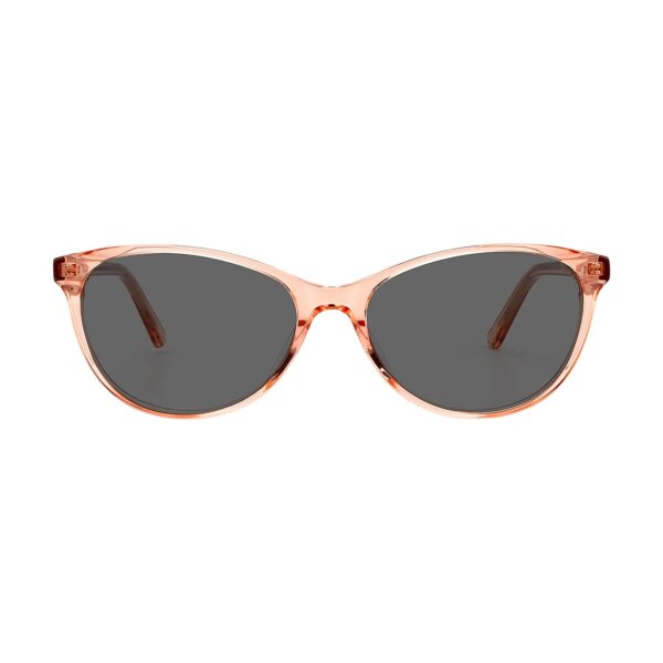LT3004S - Imagen 5