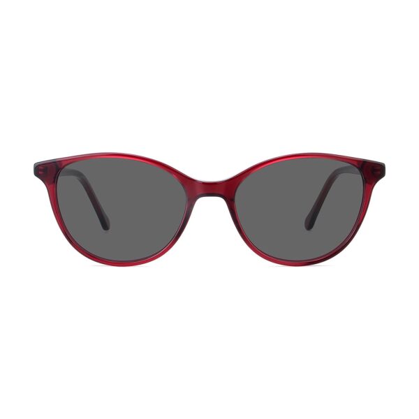 LT3006S - Imagen 3