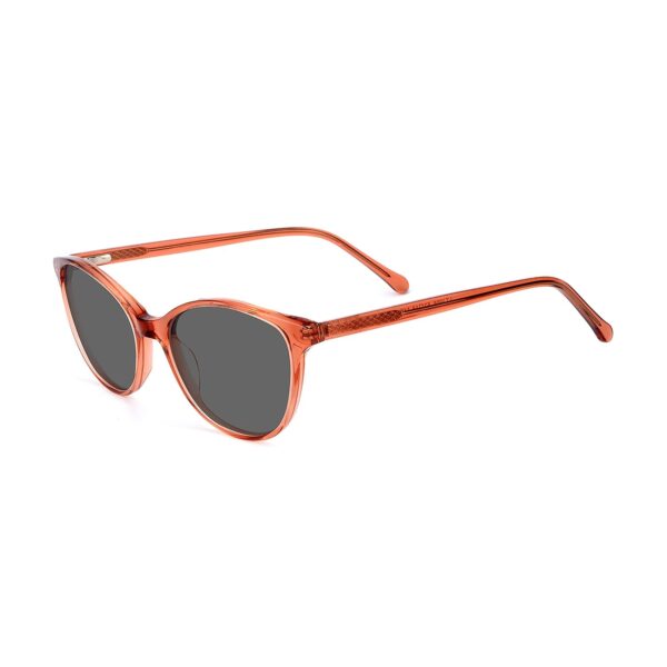 LT3006S - Imagen 8
