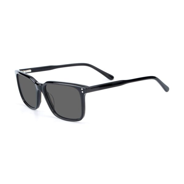 LT3010S - Imagen 2