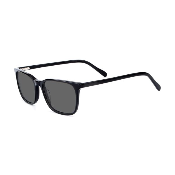 LT3011S - Imagen 2