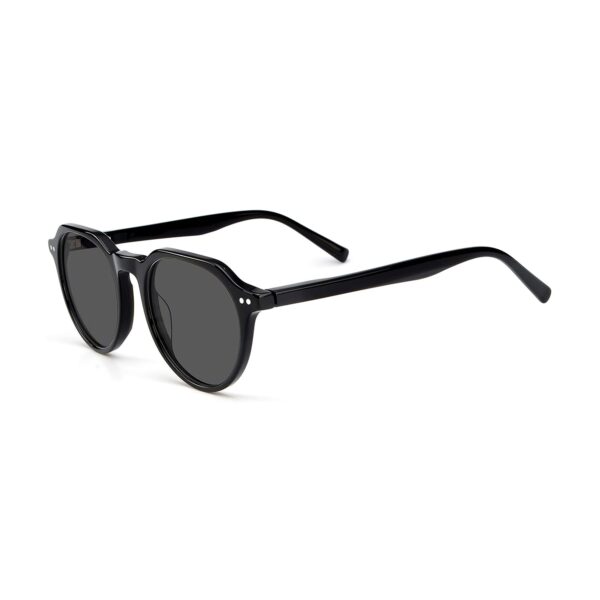 LT5007S - immagine 2