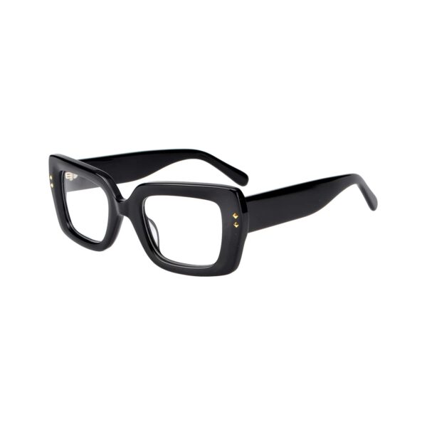 LT1166 - immagine 4