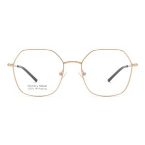 2022 TJ096 trendy memory metal optical frames irregular round wide rim ladies eyewear designer light eyeglasses-cc